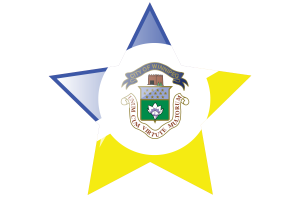 Winnipeg Flag Star Icon flag