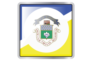 Winnipeg Flag Square icon flag