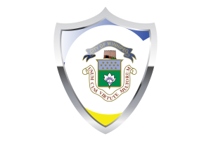 Winnipeg Flag with Medieval Heater Shield flag