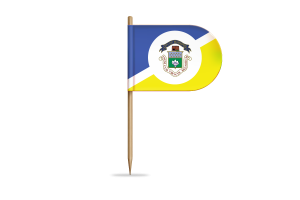 Winnipeg Flag for Desk, Table flag