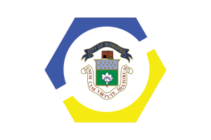 Winnipeg Flag Vector Free | SVG and PNG flag