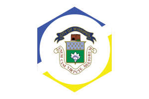 Winnipeg Flag Hexagon Shape flag