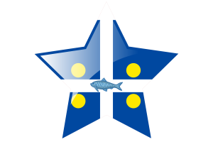 Fortune Flag Star Icon flag