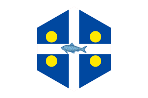 Fortune Flag Hexagon Shape flag