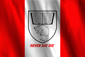 Nationale Flagge von Aklavik flag