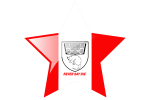 Aklavik Flagge Stern-Icon flag