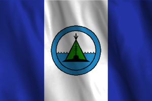 National Flag of Behchokǫ̀ flag