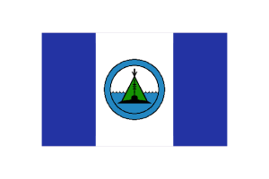 Behchokǫ̀ Flag Vector Illustration flag