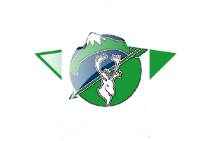 Gamètì Flag Star Icon flag