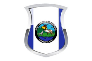 Wekweètì Pride Flag flag