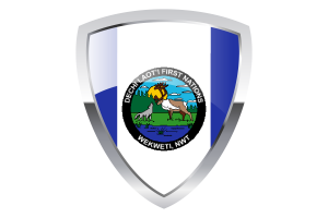 Wekweètì Shield Flag flag