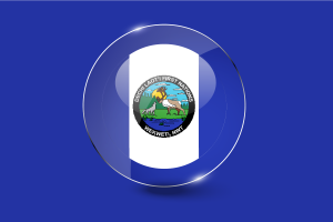 Wekweètì Flag Glossy Round Button flag