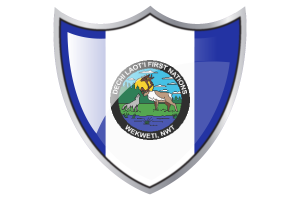 Shield with Flag of Wekweètì flag