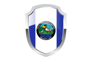 Wekweètì Shield Logo flag