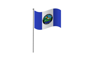 Waving Flag of Wekweètì flag
