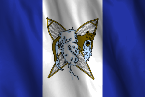 National Flag of Whati flag