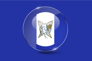 Whati Flag Glossy Round Button flag