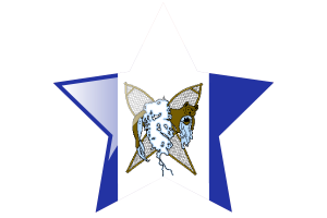 Whati Flag Star Icon flag