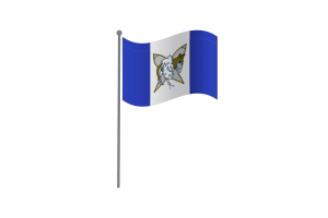 Waving Flag of Whati flag