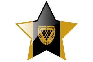 Cornwall Flag Star Icon flag