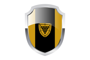 Cornwall Shield Logo flag