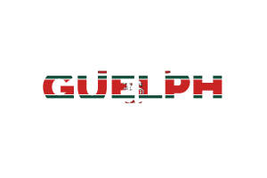 Guelph Text Art flag