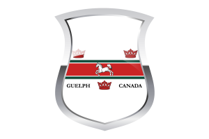 Guelph Pride Flag flag