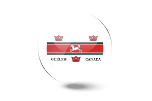 Guelph Flag Glossy Round Button flag