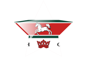 Guelph Flag Star Icon flag