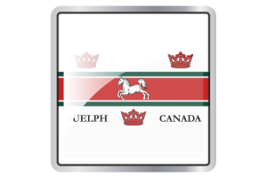 Guelph Flag Square icon flag