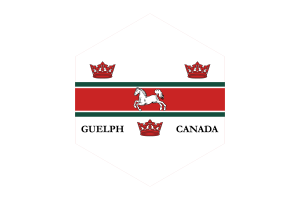 Guelph Flag Hexagon Shape flag