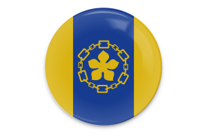 Hamilton Flag Vector Art flag