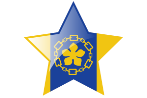 Hamilton Flag Star Icon flag