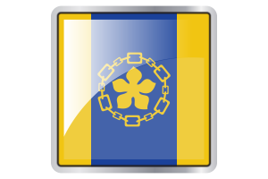 Hamilton Flag Square icon flag