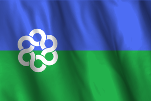 National Flag of Metropolitan Toronto flag