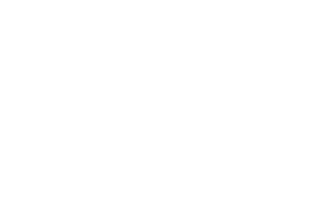 Emblem of Metropolitan Toronto flag