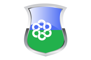 Metropolitan Toronto Pride Flag flag