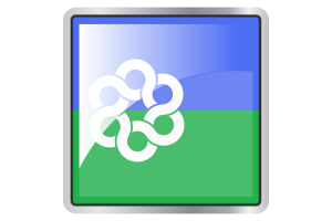 Metropolitan Toronto Flag Square icon flag