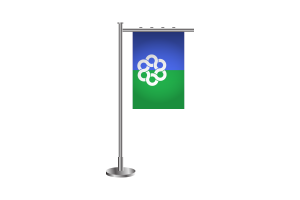3d Metropolitan Toronto Standing Flag flag