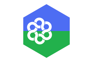 Metropolitan Toronto Flag Hexagon Shape flag