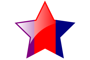 Ottawa Flag Star Icon flag