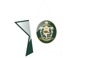 Kitchener Flag Star Icon flag