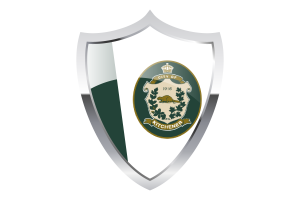 Kitchener Flag with Medieval Heater Shield flag