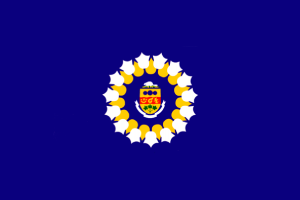 Drapeau d'Oshawa flag