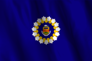 Drapeau National d'Oshawa flag