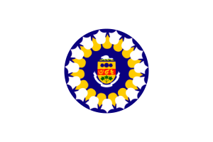 Emblème d'Oshawa flag