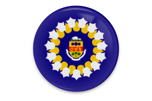 Art Vectoriel du Drapeau d'Oshawa flag