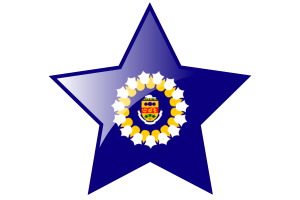 Icône Étoile du Drapeau d'Oshawa flag