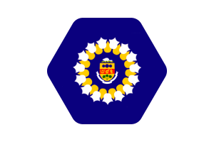 Illustration du drapeau d'Oshawa forme hexagonale arrondie flag
