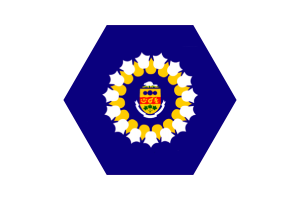 Drapeau d'Oshawa vecteur gratuit | SVG et PNG flag
